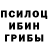 Галлюциногенные грибы Psilocybine cubensis Matyas Vich